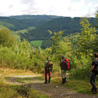 Afbeelding voor Wandelen in de Ardennen