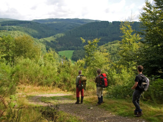 Afbeelding voor Wandelen in de Ardennen