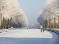 Damme in de winter