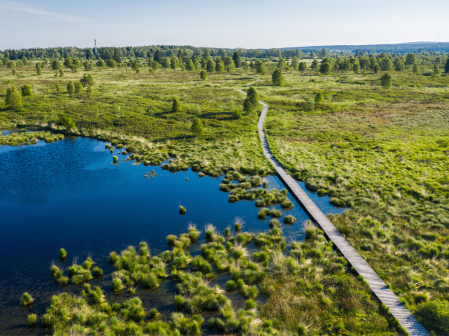 Natuur in België