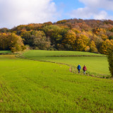 Afbeelding voor Wandelen in België