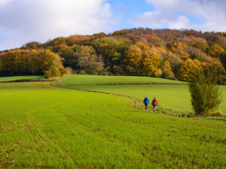 Afbeelding voor Wandelen in België