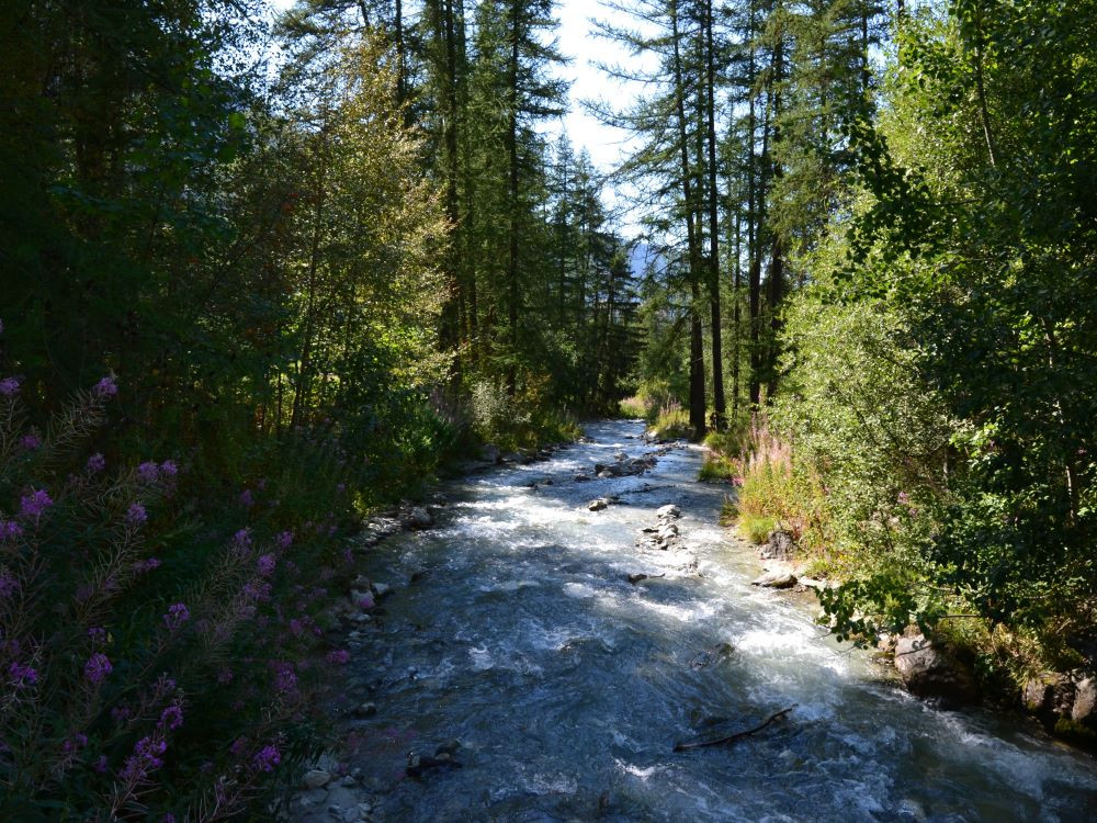 Natuur Peisey-Vallandry