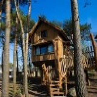 Afbeelding voor Beekse Bergen - Boomhut Safari Resort