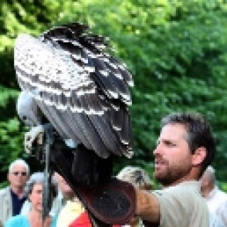 Afbeelding voor Belevenissen.nl - Roofvogelworkshop
