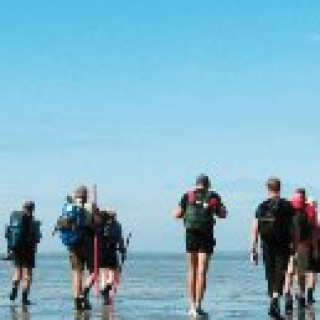 Afbeelding voor Belevenissen.nl - Wadlopen en zeehonden spotten
