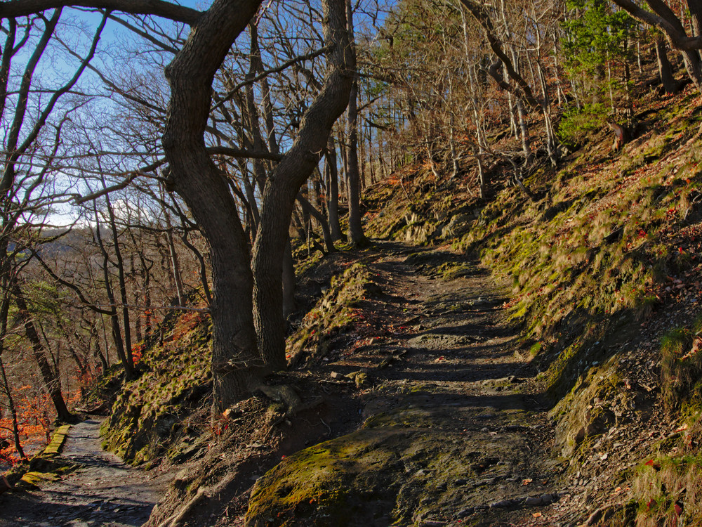 Wandelen Ardennen