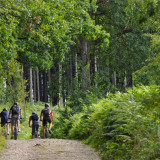 Afbeelding voor Fietsen in de Ardennen