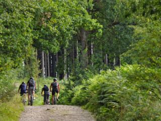 Afbeelding voor Fietsen in de Ardennen