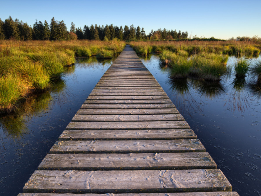 Hautes Fagnes Hautes Fagnes