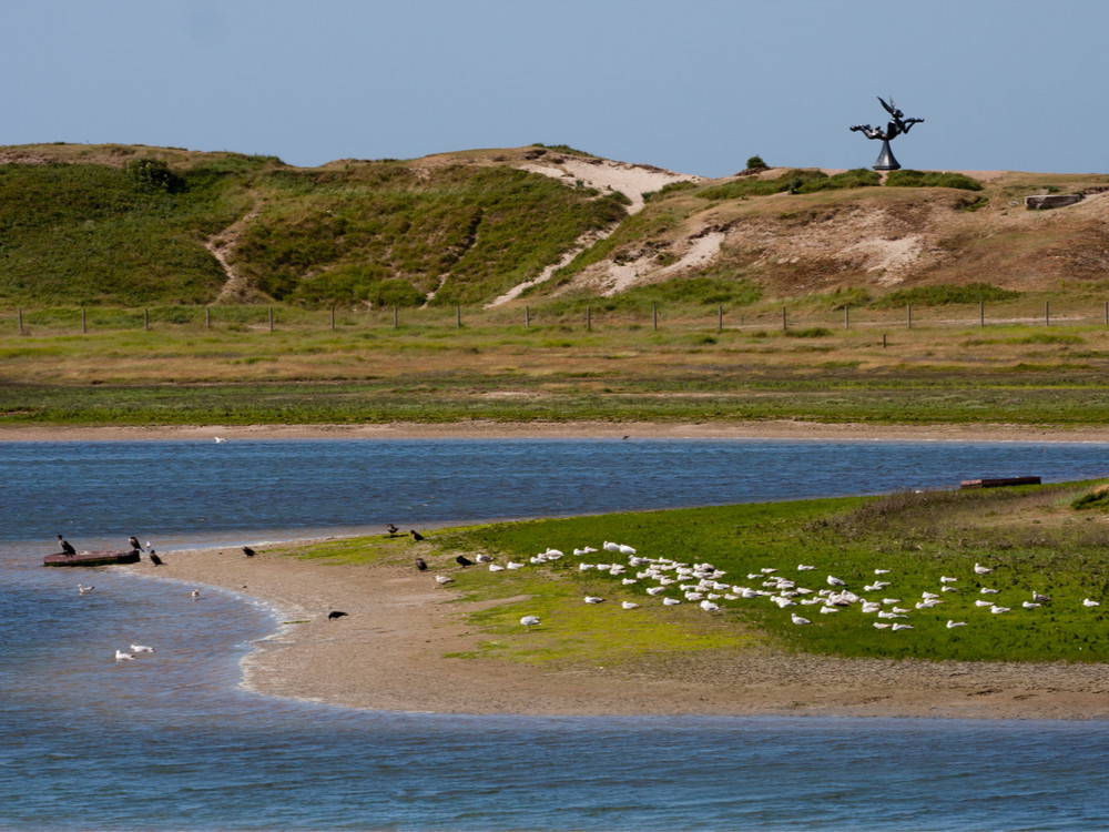 Natuur Belgische kust