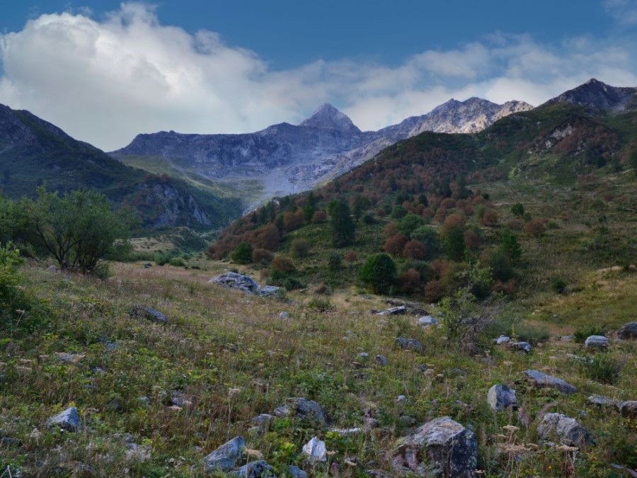 berglandschap