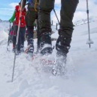 Afbeelding voor SNP - Sneeuwschoentocht Vercors