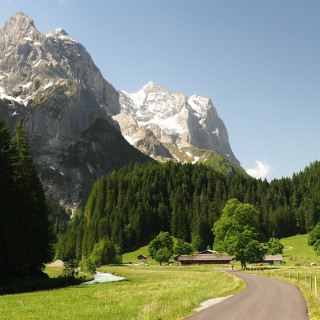 Afbeelding voor Berner Oberland