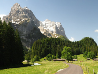 Afbeelding voor Berner Oberland