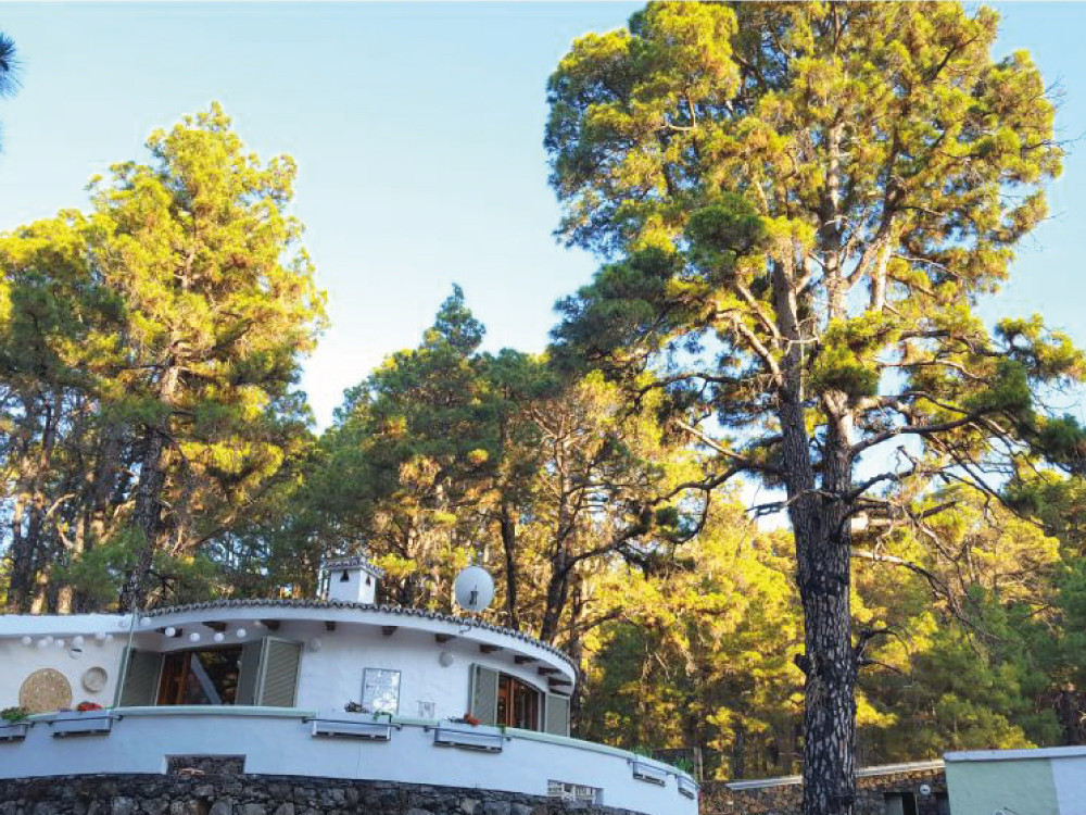 Huis in het bos op La Palma