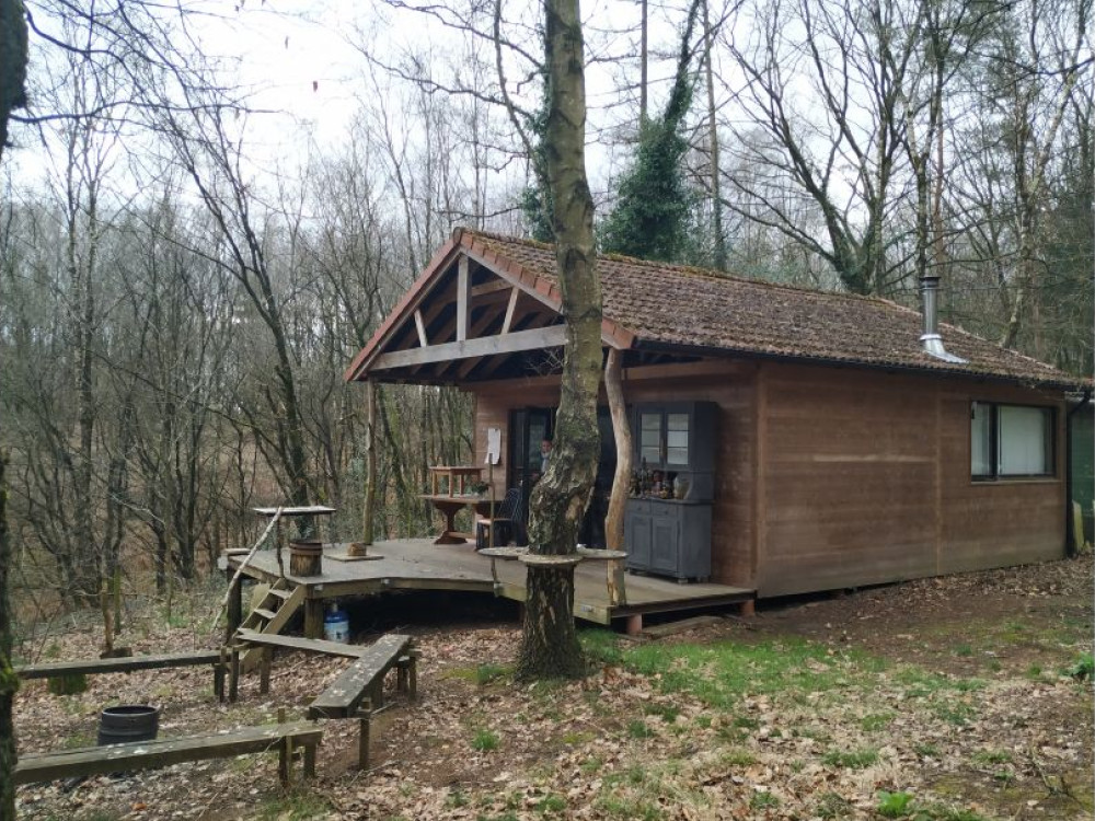 Cabin in het bos