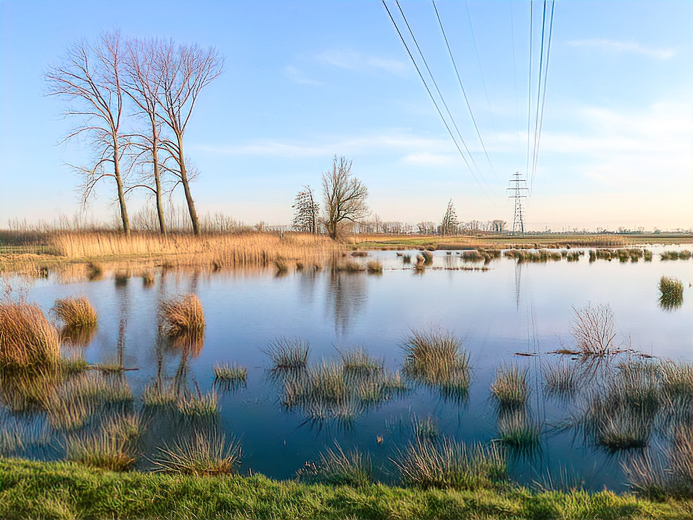 Binnenveld