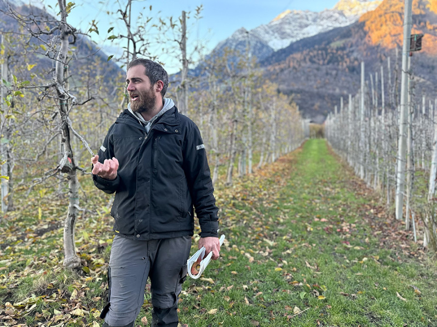 Boer in Zuid-Tirol