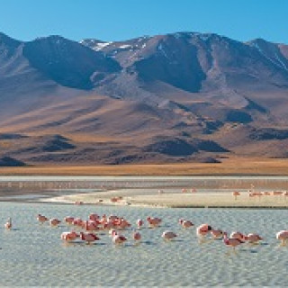 Afbeelding voor SNP - Peruviaanse Andes