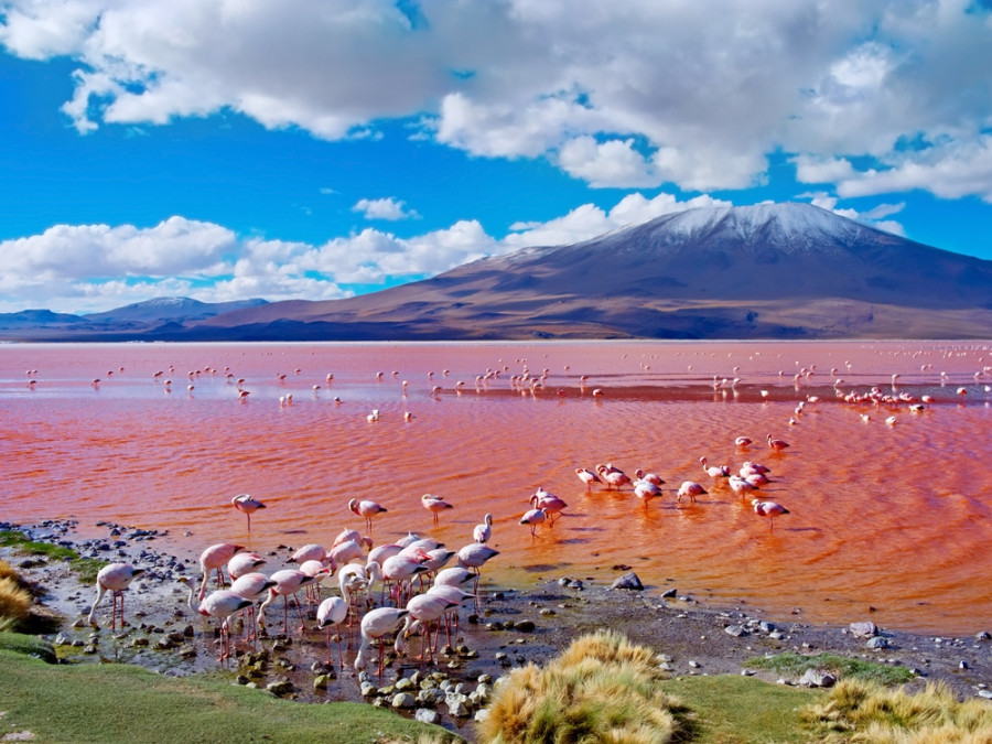 Andes in Bolivia