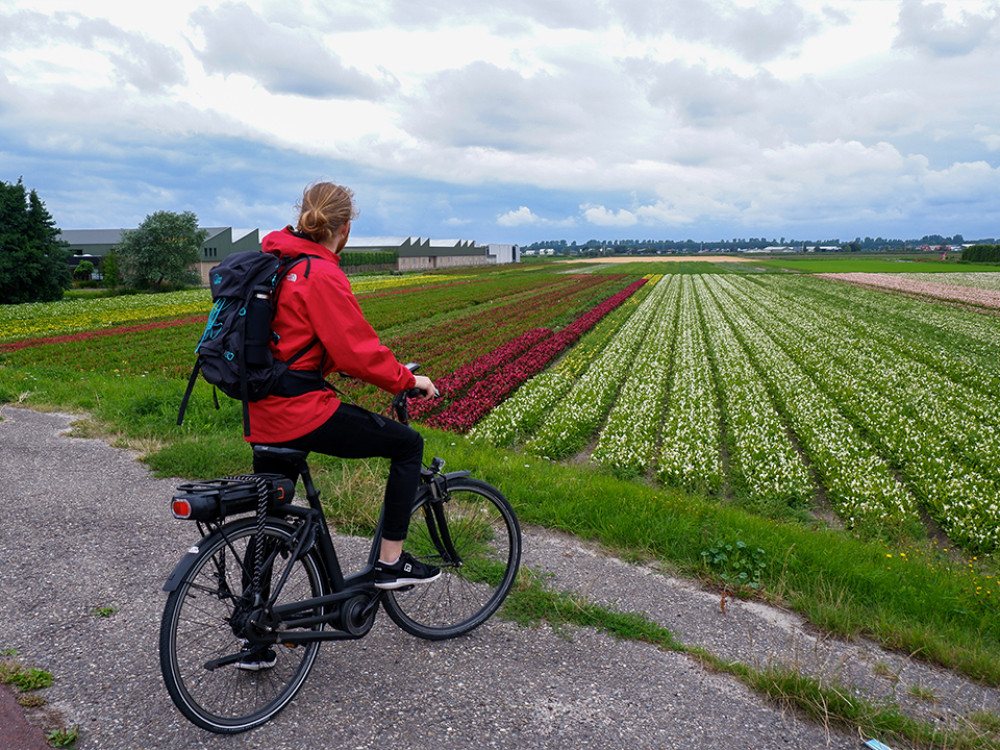 Fietsen in de Bollenstreek