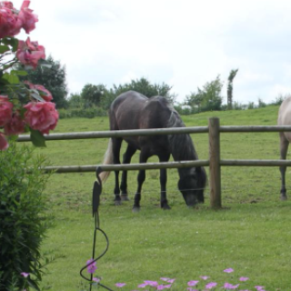 Afbeelding voor Booking.com - Countryhouse