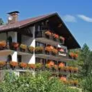 Afbeelding voor Booking.com - Hotel Mittenwald