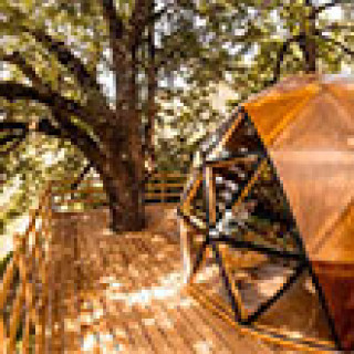 Afbeelding voor Natuurhuisje - Boomhut met dome