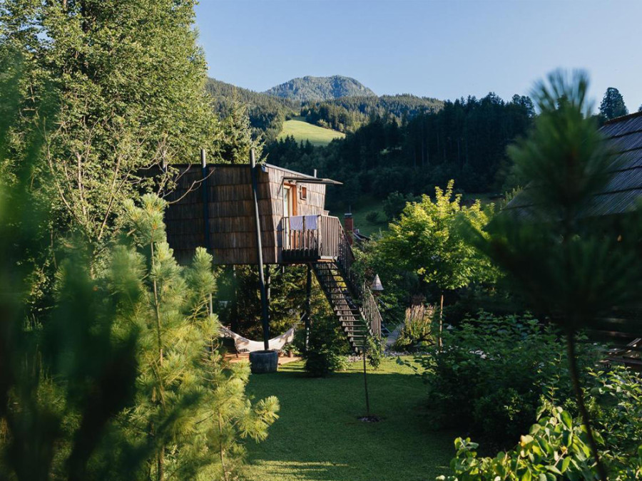 Boomhut overnachting Slovenië Boomhut overnachting Slovenië