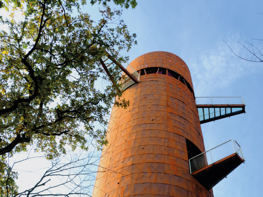 Bosbergtoren Drents-Friese Wold