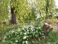 Bostuin Citadelpark