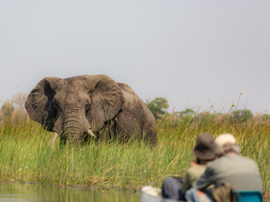 Mokoro safari