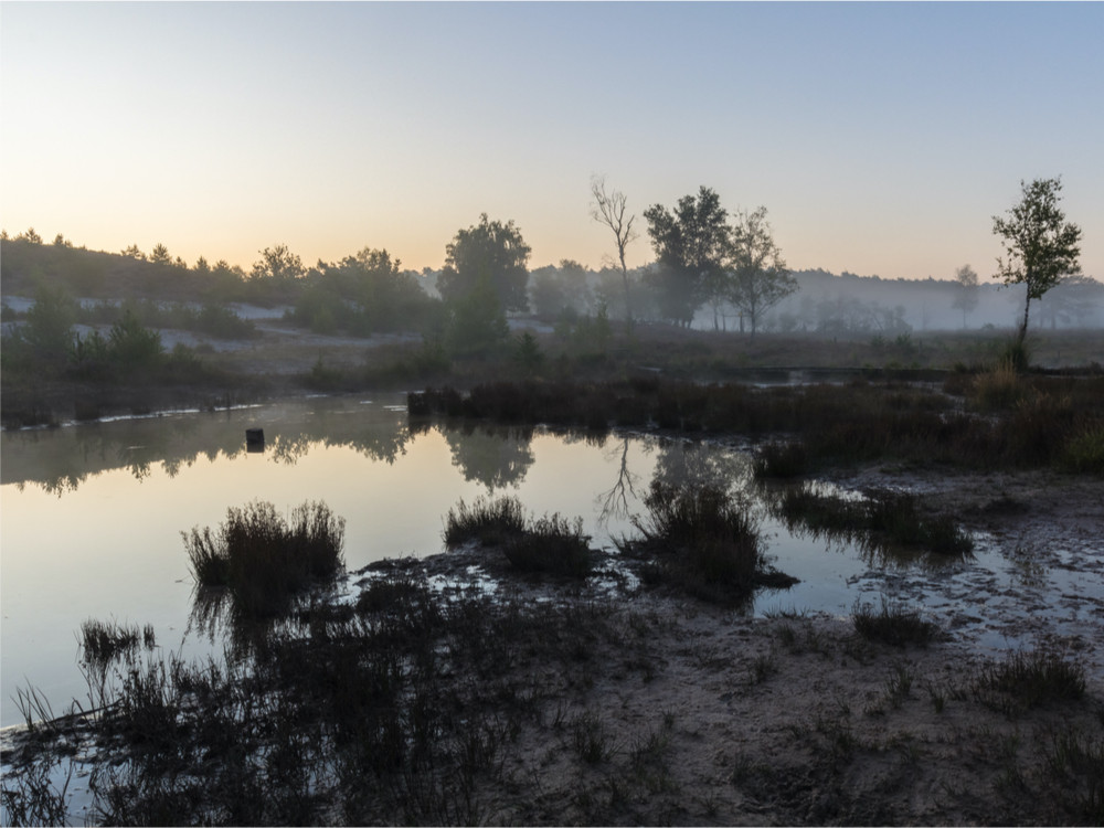 Dageraad Brunssummerheide