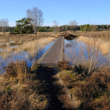 Afbeelding voor Buurserzand