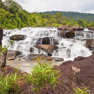 Afbeelding voor Cardamomgebergte in Cambodja