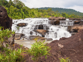 Afbeelding voor Cardamomgebergte in Cambodja