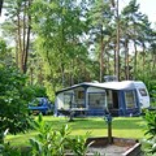 Afbeelding voor Eurocampings - Camping de Rimboe