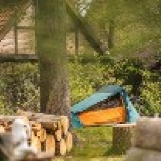 Afbeelding voor Campspace - Gave kampeerplekken