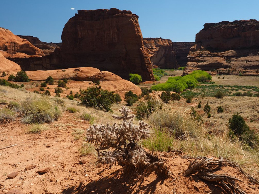 White House Trail