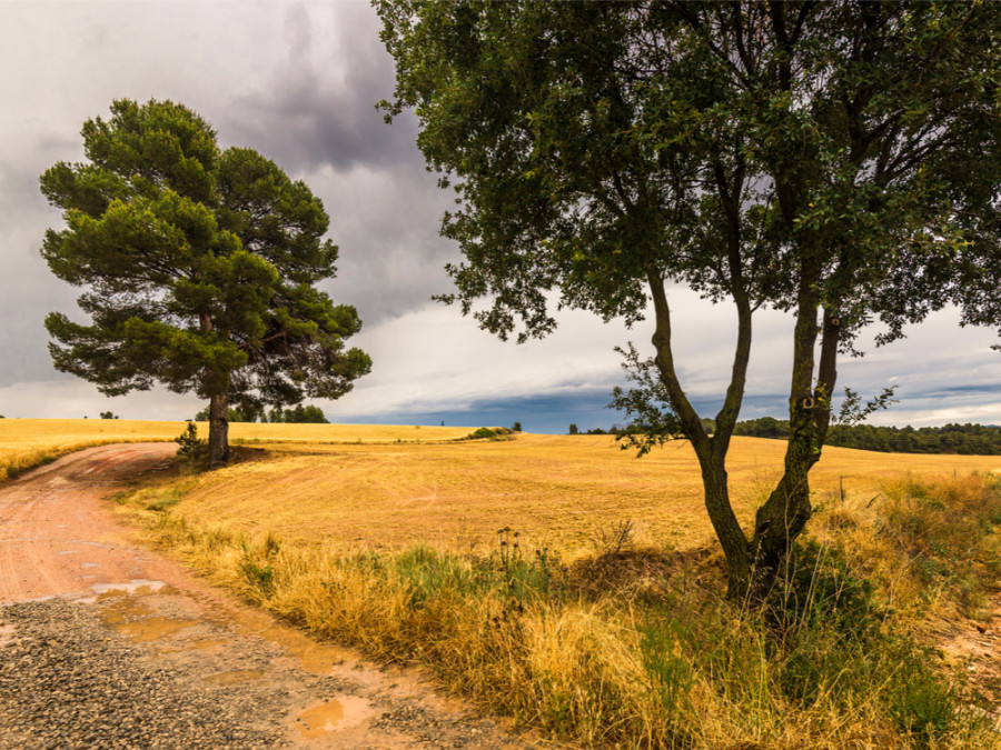 Landschap Landschap