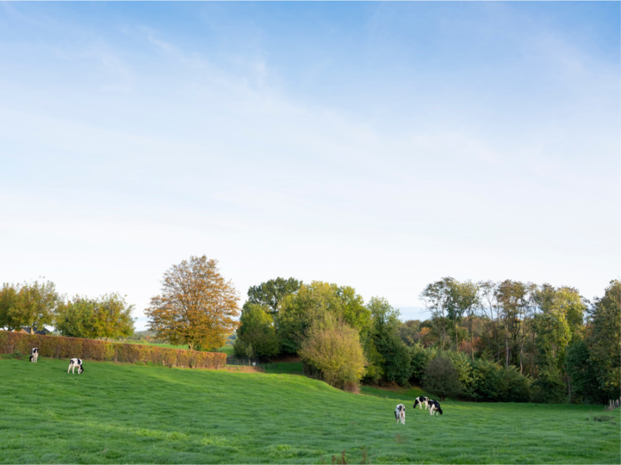 Cauberg Limburg