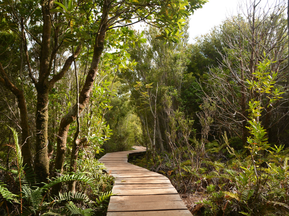 Wandelen Chiloé