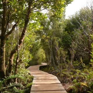 Afbeelding voor Chiloé in Chili