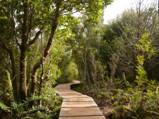 Afbeelding voor Chiloé in Chili