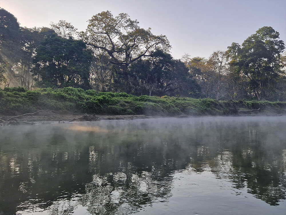 Natuur in Chitwan