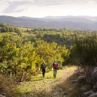 Afbeelding voor SNP - Wandelen in Cilento