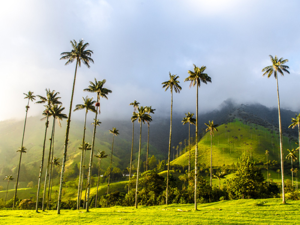 Natuurreis Colombia