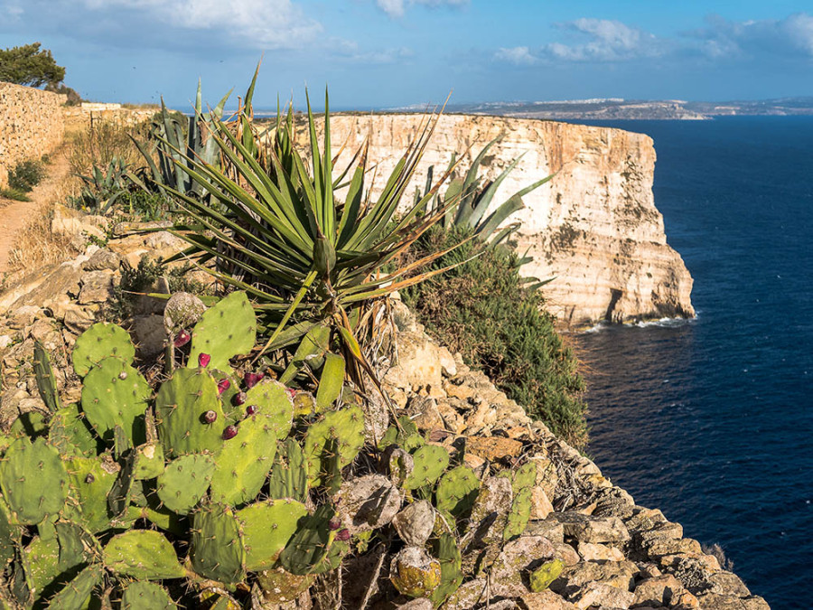 Ta' Cenc Cliffs