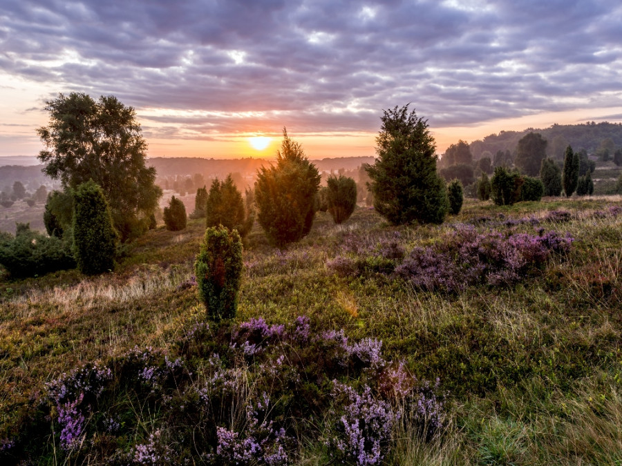 Zonsondergang Wilseder berg Zonsondergang Wilseder berg